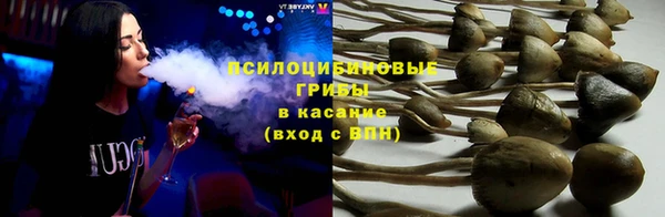 меф Ладушкин