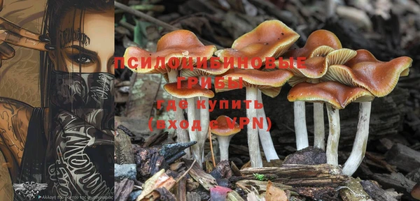 меф Ладушкин