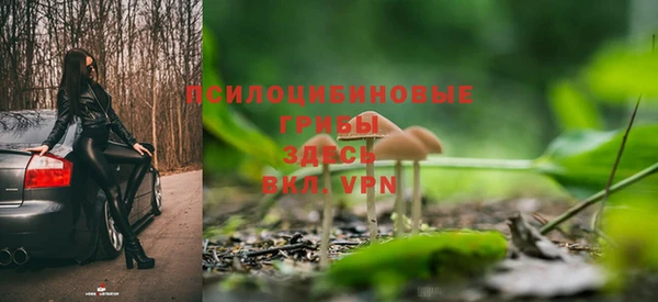 экстази Лагань